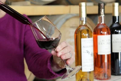 Thumbnail Descubrimiento de viñedos y experiencia de cata de vinos en Château l'Evesque