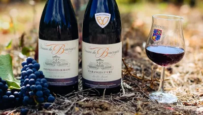 Thumbnail Weinprobe auf der Domaine du Beauregard im Herzen der Côtes du Couchois