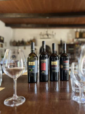 Thumbnail Experiencia de cata de vinos clásicos en Vini Marino, en Cilento