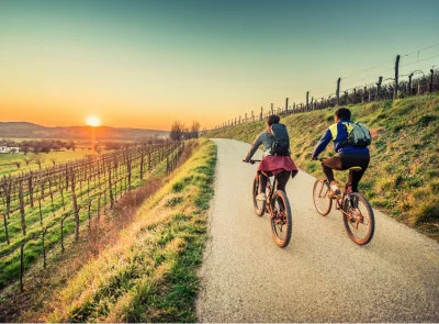 Thumbnail Excursión en e-bike por viñedos y picnic con cata de vinos en Cilento
