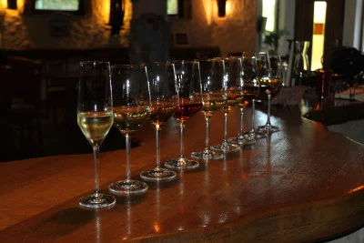Thumbnail Wine Tasting at Winery Horvat in Maribor's Historic Počehova Hills