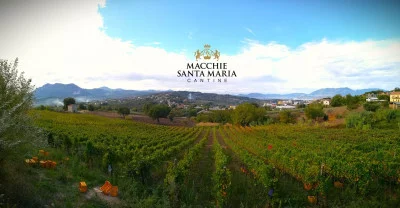 Thumbnail Emotive experience in green Irpinia, with tour and wine tasting at Macchie Santa Maria