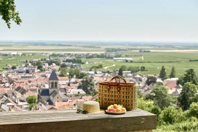Thumbnail Paseo por los viñedos, picnic y cata de champán en Le Relais du Vigneron