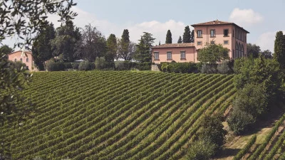 Thumbnail Cata de vinos Gran Selección y visita guiada a Villa Mangiacane en Chianti Classico