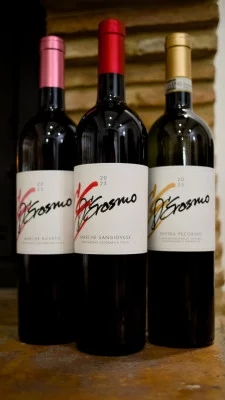 Thumbnail Visita y cata de vinos en D'Erasmo Vini