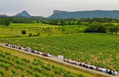 Thumbnail Tour del vino di Pic Saint-Loup di un'intera giornata da Montpellier