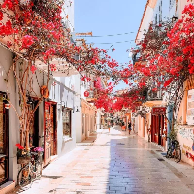 Thumbnail Mycenae & Nafplio and Wine Tasting Day Tour from Athens