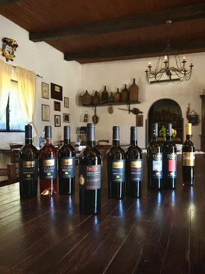 Thumbnail Cata de vinos La Maestria en Vini Marino de Cilento
