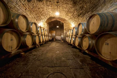 Thumbnail Dégustation de vin classique au domaine viticole de Savignola