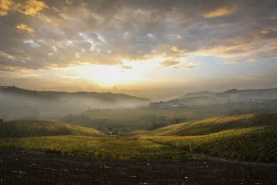 Thumbnail Reichhaltiges Weinerlebnis im Herzen der Langhe im Weingut Soria