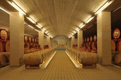 Thumbnail Entdecke die Geheimnisse des Primitivo: Weinprobe in Jorche