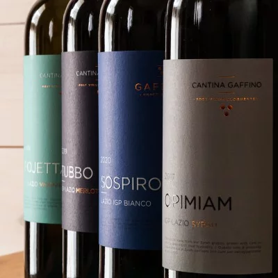 Thumbnail Experiencia clásica de cata de vinos en Gaffino