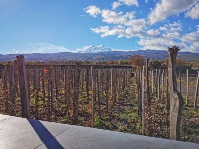 Thumbnail for Pranzo con Degustazione Vini Etna e Tour del Vigneto da Emilio Sciacca
