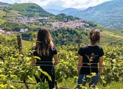 Thumbnail Tour in cantina e degustazione di vini di montagna a Villa Corniole