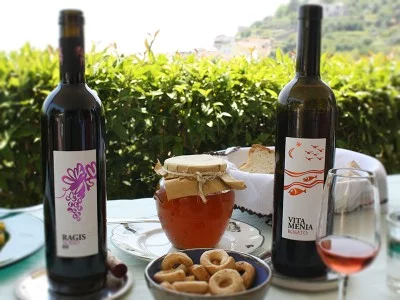Thumbnail Weinprobe in einem Boutique-Bio-Weinberg an der Amalfiküste