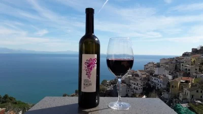 Thumbnail Weintour, Weinprobe und Mittag- oder Abendessen bei Vigne di Raito