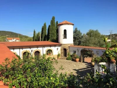 Main image of Vini Marino (Cilento)
