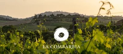 Main image of La Combarbia Winery Montepulciano
